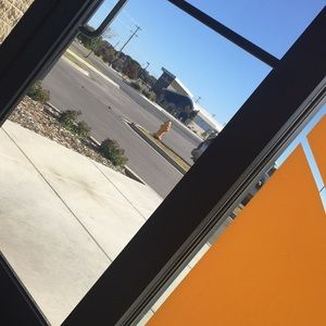 Meet your Posher, Ana